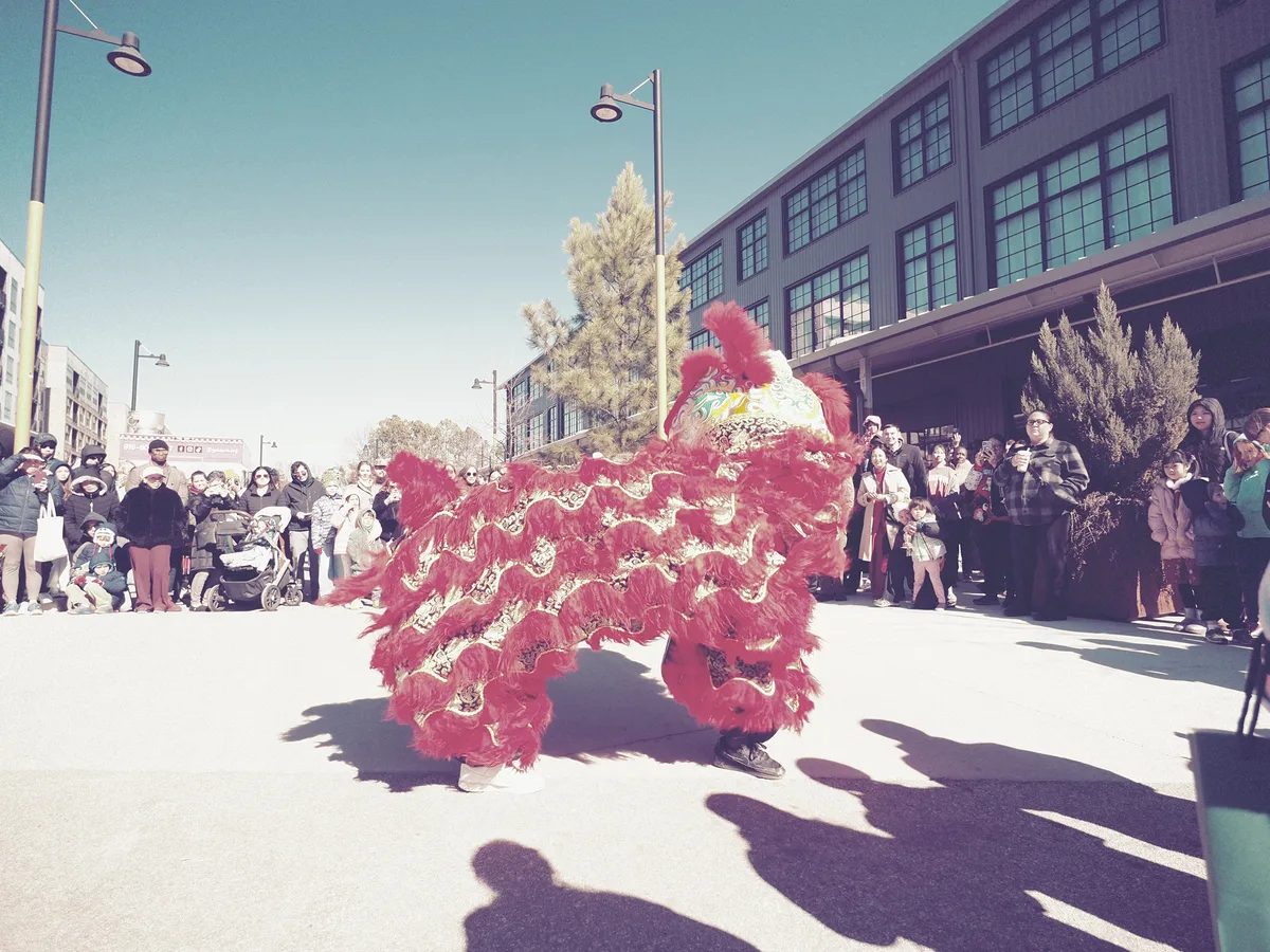 Lunar New Year photograph 4